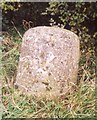 Old Milestone by the A40, Holton