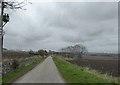 Minor road near Millcraig Farm