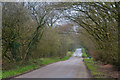 East Devon : Long Lane