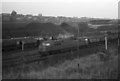 Class 52 Western, D1049 Western Monarch at Exmouth Junction coal depot