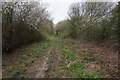 Busby Lane towards Tideworth Hague Lane