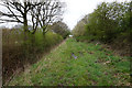 Fowdall Lane towards Kirk Lane