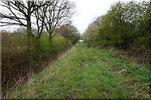 SE6416 : Fowdall Lane towards Kirk Lane by Ian S