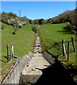 Dry Nant Melyn near Llechryd