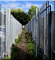 Path between metal fences, Trethomas