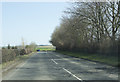 A well shaded road