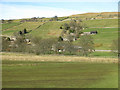 Farmland by the River Wear between St. John