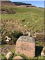 A tombstone in a stream