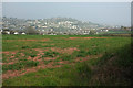 Teignmouth from Shepherds