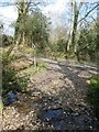 Footpath at Shepherd