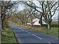 Minor Road Near Catrine