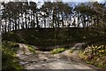 Bridges and Ford, Capelshaw Beck