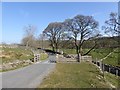 Cattle grid at Toathmain