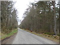 NH6873 : Minor road through Newmore Wood by Alpin Stewart
