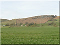 Eastby Crag from Low Lane