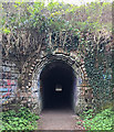SP3477 : North portal of a subway beneath the Rugby-Birmingham railway line by Robin Stott