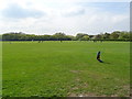 Sports fields, Greenford