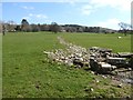 Field and ditch below Howe Hill