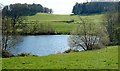 Lake and surrounding parkland at Dromantine House