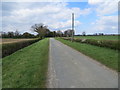 Hedge-lined Butcher Lane