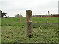 Haveringland Stump Cross