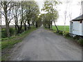 Tree lined track and bridleway to Sand Hall Farm