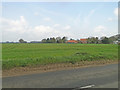 Houses on The Heath from Coltishall Road