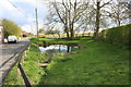 Pond on Sharpenhoe Road, Streatley