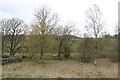 Trees & Farmland at Glenauchie