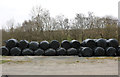 Silage Bales