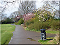 Path in Dyke Road Park, Brighton