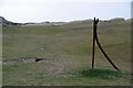NX3902 : Old Fence Posts at Blue Point by Glyn Baker