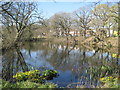 Pond adjacent to Manor Farm (Spring)