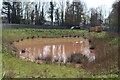 Pond next to roundabout, Cwmbran Drive