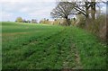 Geopark Way approaching Kinlet, Shrops