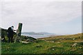 NL6293 : Vatersay standing stone by Malcolm Neal