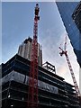 Cranes in Braham Street, Whitechapel