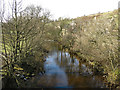 The River Wear upstream of Daddryshield Bridge