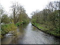 The River Colne near Denham Green