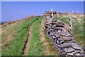 SC2381 : Parallel Paths & Dry Stone Wall by Glyn Baker