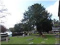 St Mary, Sunbury-on-Thames: churchyard (c)