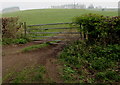 Six-bar field gate, Springfield Lane, Rhiwderin