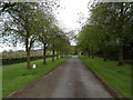 Avenue towards Chalfont St Peter Cemetery