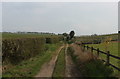 Track outside Hall Trees Farm