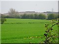 Himley Farmland