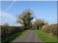 SJ5861 : Lane to Oxheys by Richard Webb