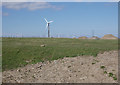 Wind turbine, Westfield Farm