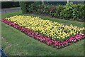 Flowerbed in Hendon Park