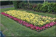 TQ2388 : Flowerbed in Hendon Park by David Howard