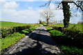 Tree shadows along Edenderry Road